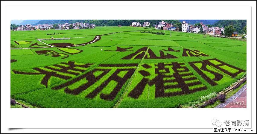 【春天，广西桂林灌阳县向您发出邀请！】开篇 - 游山玩水 - 莱芜生活社区 - 莱芜28生活网 lw.28life.com