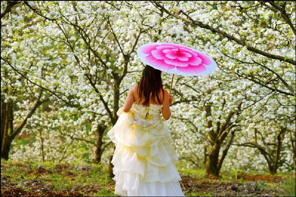 【春天,广西桂林灌阳县向您发出邀请!】我们在灌阳看梨花 - 游山玩水 - 莱芜生活社区 - 莱芜28生活网 lw.28life.com