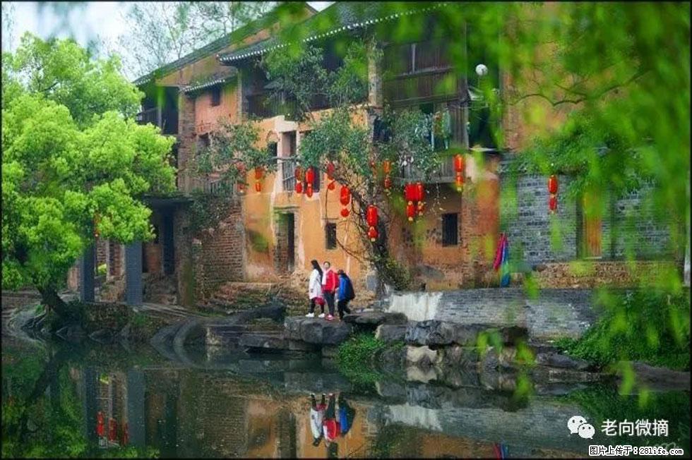 【春天,广西桂林灌阳县向您发出邀请!】江口老街又逢春 - 游山玩水 - 莱芜生活社区 - 莱芜28生活网 lw.28life.com