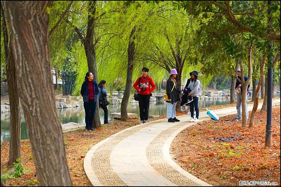 【春天,广西桂林灌阳县向您发出邀请!】江口老街又逢春 - 游山玩水 - 莱芜生活社区 - 莱芜28生活网 lw.28life.com