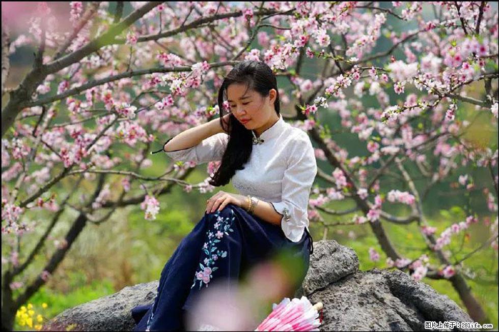 【春天,广西桂林灌阳县向您发出邀请!】望月岭上桃花开 - 游山玩水 - 莱芜生活社区 - 莱芜28生活网 lw.28life.com