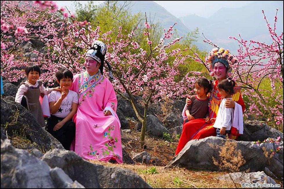 【春天,广西桂林灌阳县向您发出邀请!】望月岭上桃花开 - 游山玩水 - 莱芜生活社区 - 莱芜28生活网 lw.28life.com