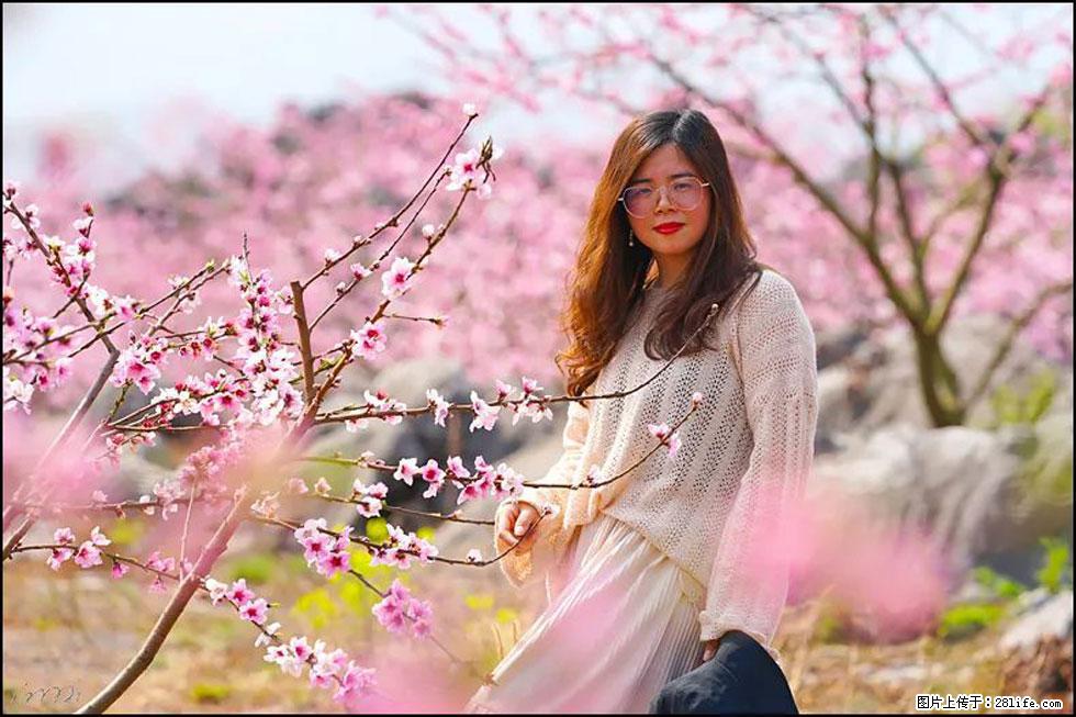 【春天,广西桂林灌阳县向您发出邀请!】望月岭上桃花开 - 游山玩水 - 莱芜生活社区 - 莱芜28生活网 lw.28life.com