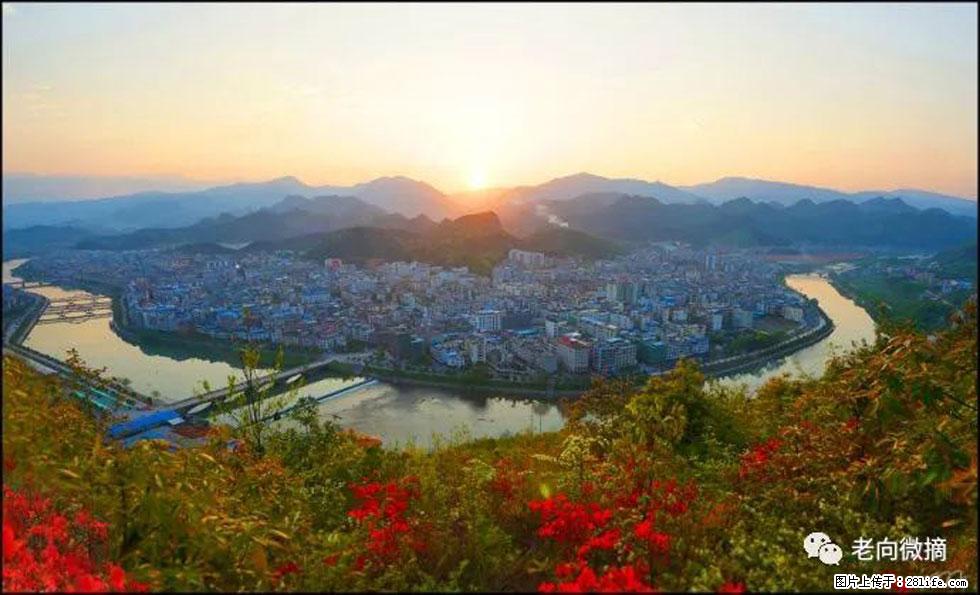 【春天，广西桂林灌阳县向您发出邀请！】登麒麟山，相约映山红 - 游山玩水 - 莱芜生活社区 - 莱芜28生活网 lw.28life.com