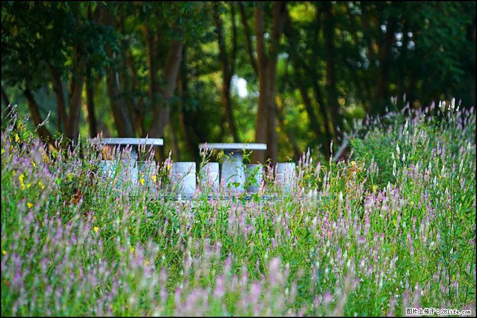 【春天,广西桂林灌阳县向您发出邀请!】熊家寨湿地公园 - 游山玩水 - 莱芜生活社区 - 莱芜28生活网 lw.28life.com