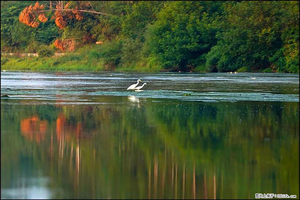 【春天,广西桂林灌阳县向您发出邀请!】熊家寨湿地公园 - 游山玩水 - 莱芜生活社区 - 莱芜28生活网 lw.28life.com