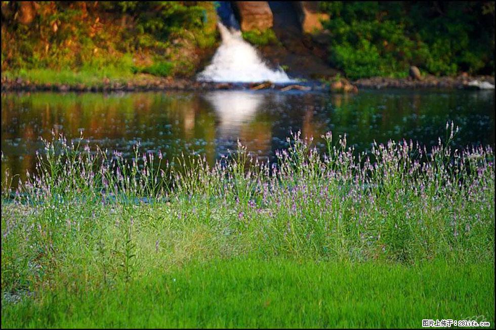 【春天,广西桂林灌阳县向您发出邀请!】熊家寨湿地公园 - 游山玩水 - 莱芜生活社区 - 莱芜28生活网 lw.28life.com