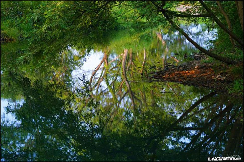 【春天,广西桂林灌阳县向您发出邀请!】熊家寨湿地公园 - 游山玩水 - 莱芜生活社区 - 莱芜28生活网 lw.28life.com