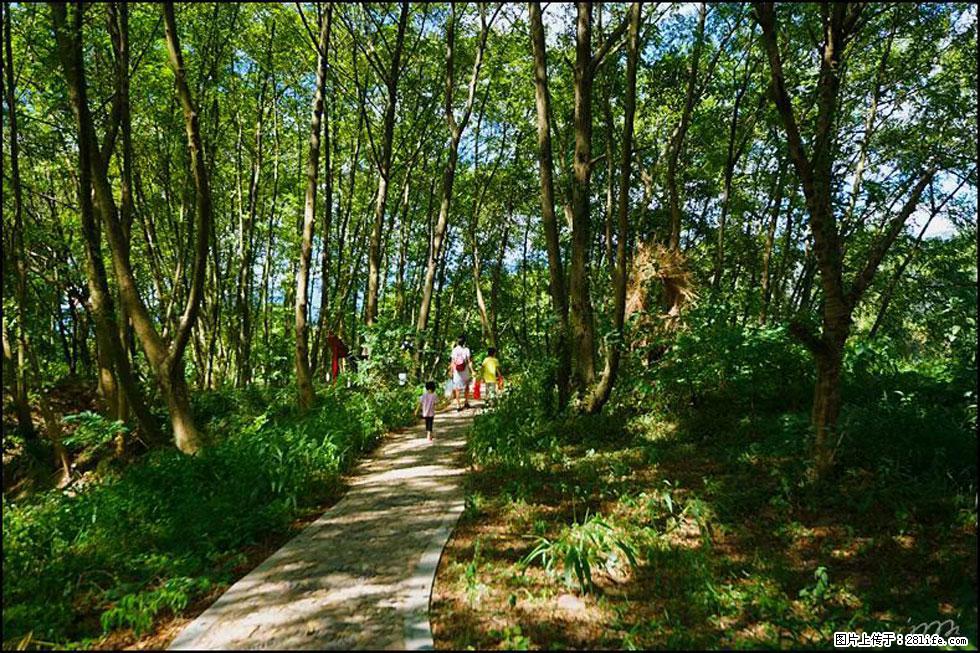 【春天,广西桂林灌阳县向您发出邀请!】熊家寨湿地公园 - 游山玩水 - 莱芜生活社区 - 莱芜28生活网 lw.28life.com