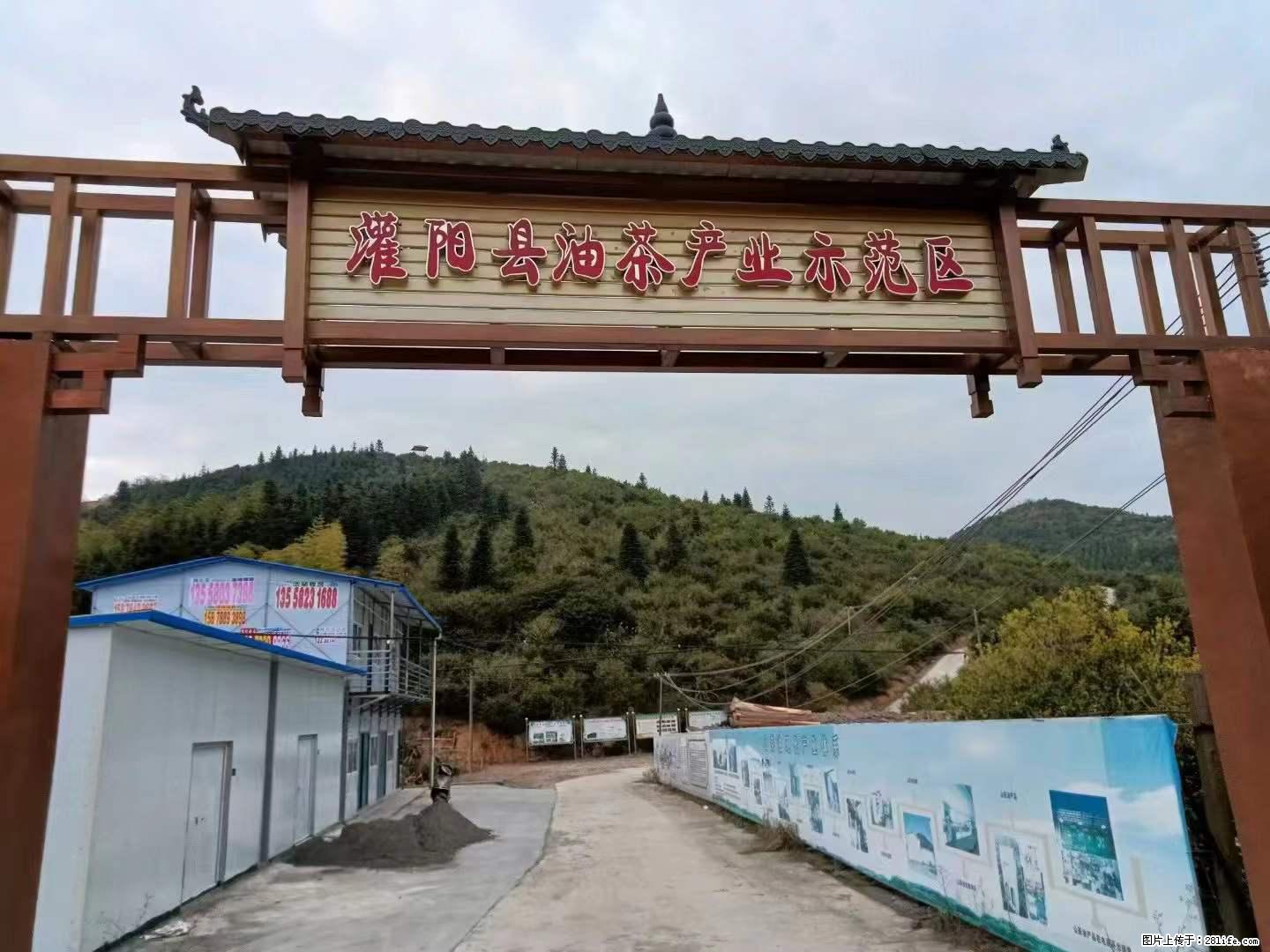 【灌阳县油茶产业示范区】一个有着充实的精神生活的人,对待身外之物自会有一种淡泊的态度 - 美食天地 - 莱芜生活社区 - 莱芜28生活网 lw.28life.com
