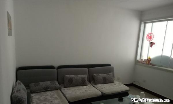 凤城名邸精装修双气,家具家电齐全生活方便拎包即住欲租从速。 - 房屋出租 - 房屋租售 - 莱芜分类信息 - 莱芜28生活网 lw.28life.com