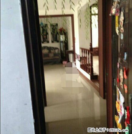 香舍花都精装三室两厅家具家电齐全出租 - 房屋出租 - 房屋租售 - 莱芜分类信息 - 莱芜28生活网 lw.28life.com