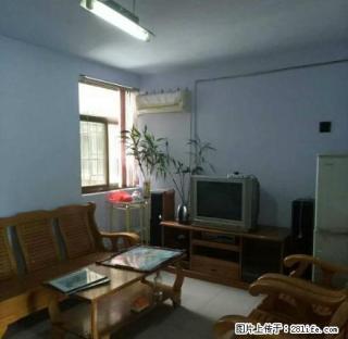 朝阳小区精装4楼带家具双气70平两室月租900 - 莱芜28生活网 lw.28life.com
