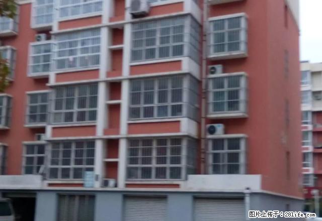 信誉楼东临A三居室 双气 家具齐全 带储藏室 - 房屋出租 - 房屋租售 - 莱芜分类信息 - 莱芜28生活网 lw.28life.com