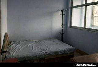 加州城附近,房子干净朝阳,繁华地段,, - 莱芜28生活网 lw.28life.com