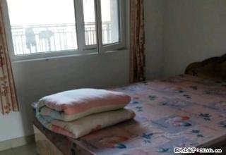天晟上府,中心小学附近,电梯房。暖气,天然气,精装 - 莱芜28生活网 lw.28life.com