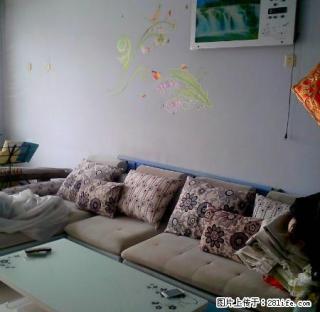 出租师骧园 精装修 家具家电齐全 拎包入住 - 莱芜28生活网 lw.28life.com