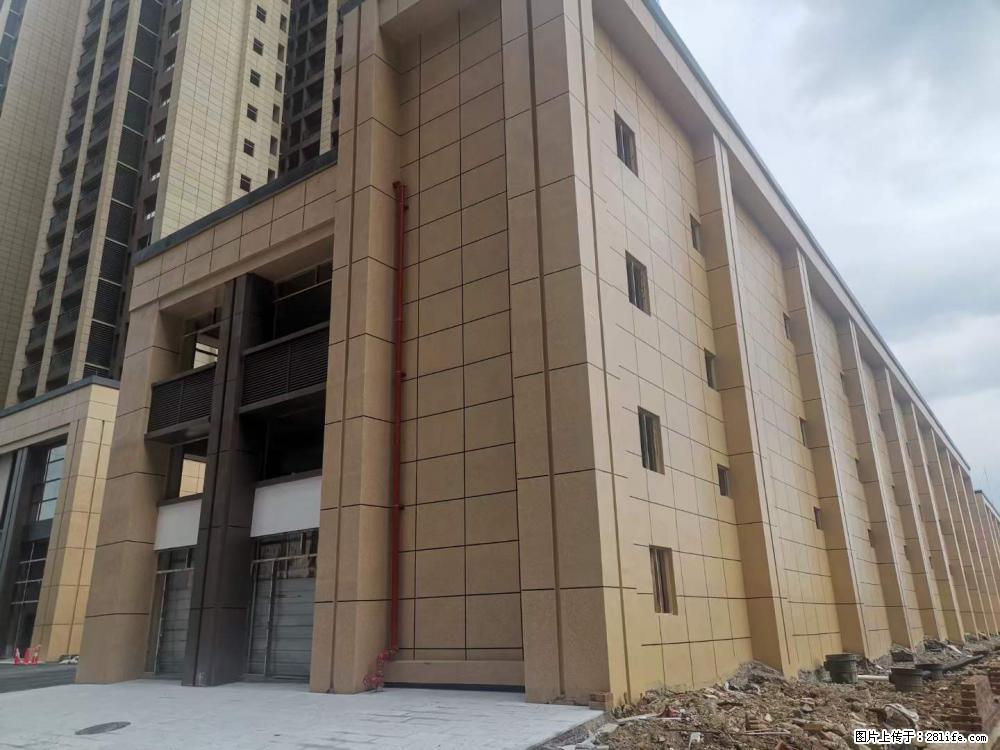 【广西三象建筑安装工程有限公司】外墙涂料工程 - 新手上路 - 莱芜生活社区 - 莱芜28生活网 lw.28life.com