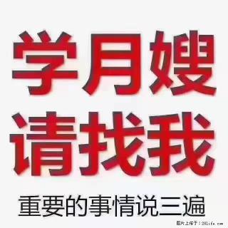 【招聘】月嫂，上海徐汇区 - 莱芜28生活网 lw.28life.com