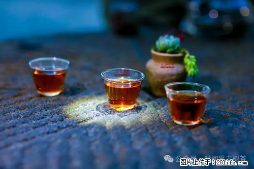 时间果百年古树2025年春红茶 - 购物交流 - 莱芜生活社区 - 莱芜28生活网 lw.28life.com