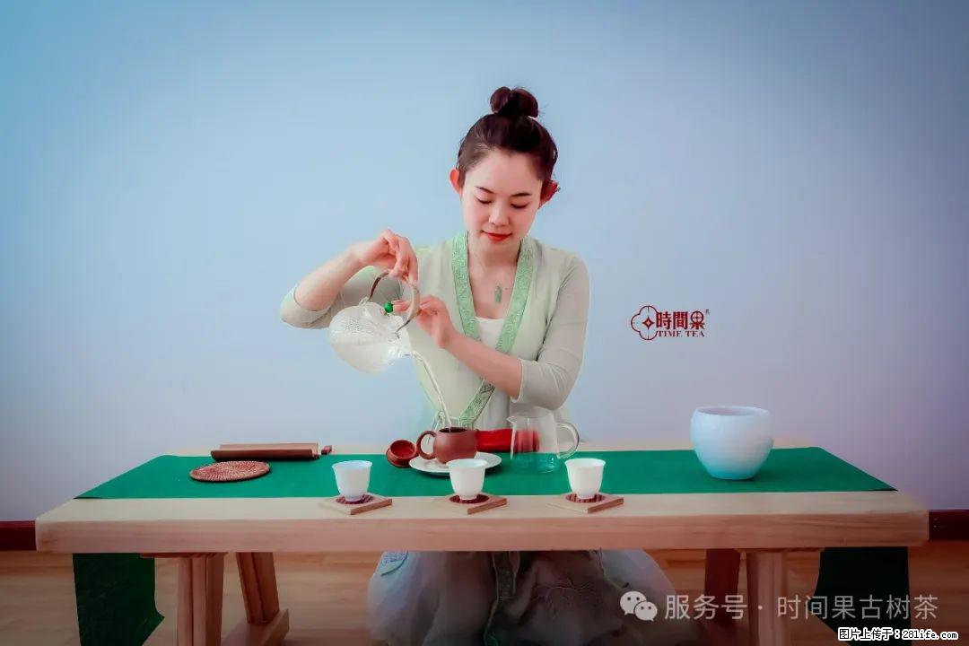 时间果百年古树龙珠普洱生茶 - 购物交流 - 莱芜生活社区 - 莱芜28生活网 lw.28life.com