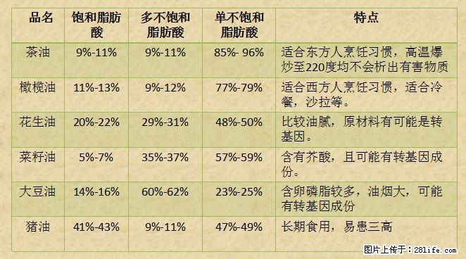 揭秘茶油的5大核心营养成分!被称为人体健康的“守护盾”! - 莱芜生活资讯 - 莱芜28生活网 lw.28life.com