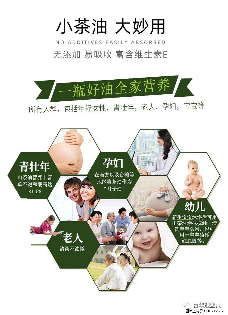 世界没有真相,只有认知,最好的食用油是中国的山茶油! - 莱芜生活资讯 - 莱芜28生活网 lw.28life.com