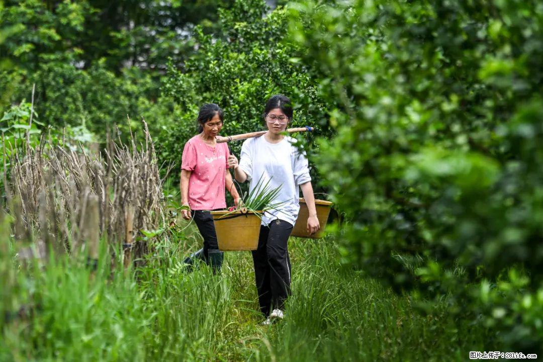 全网追的“扁担女孩”,找了一份暑假工,时薪12元 - 莱芜生活资讯 - 莱芜28生活网 lw.28life.com