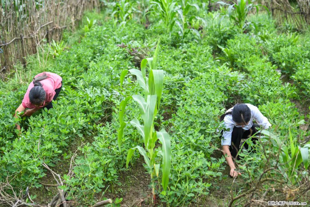 全网追的“扁担女孩”,找了一份暑假工,时薪12元 - 莱芜生活资讯 - 莱芜28生活网 lw.28life.com