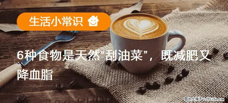 【生活小常识】6种食物是天然“刮油菜”,既减肥又降血脂 - 莱芜生活资讯 - 莱芜28生活网 lw.28life.com