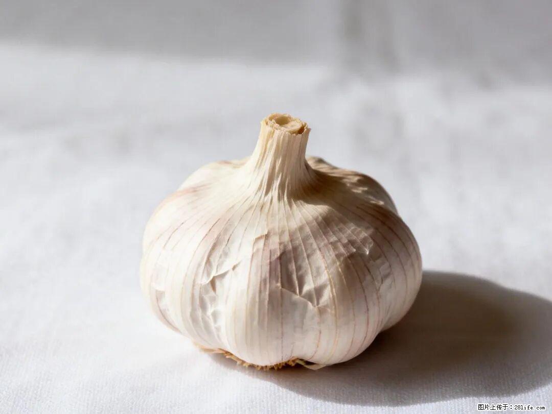 关于大蒜，除了“天然抗生素”，这4个谣言更该警惕! - 莱芜生活资讯 - 莱芜28生活网 lw.28life.com