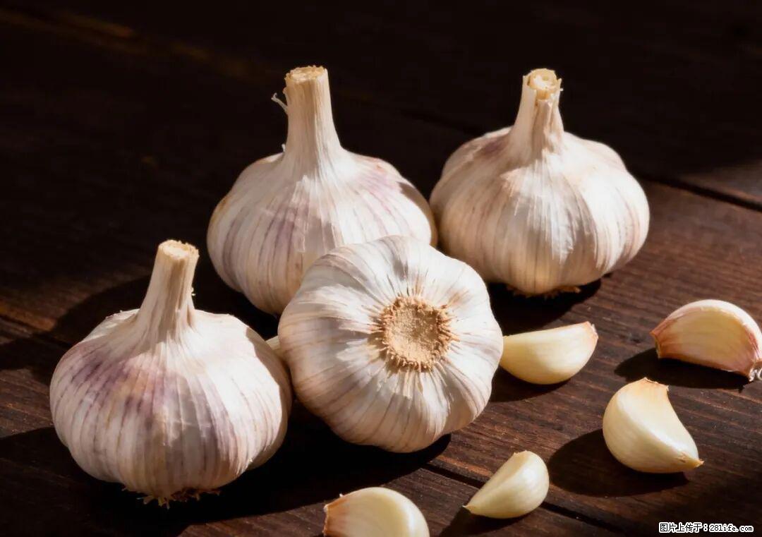 关于大蒜，除了“天然抗生素”，这4个谣言更该警惕! - 莱芜生活资讯 - 莱芜28生活网 lw.28life.com