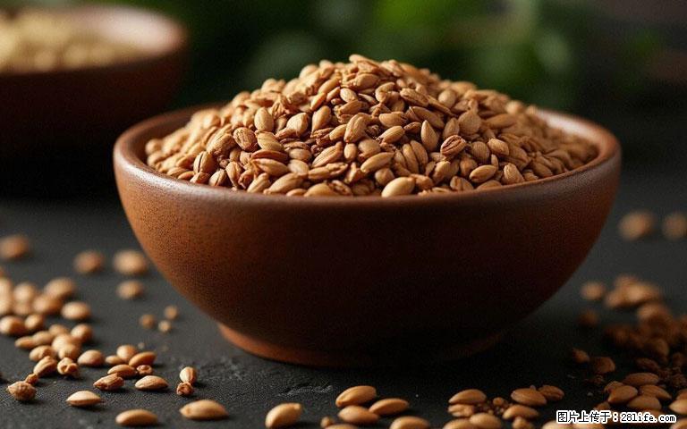 这三苦是三高“克星”，心血管干净不易堵！每天吃一点，指标慢慢降下来~ - 莱芜生活资讯 - 莱芜28生活网 lw.28life.com