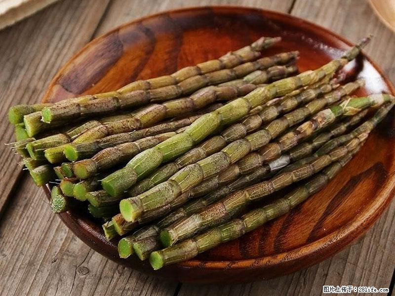铁皮石斛的作用与功能主治 - 莱芜生活资讯 - 莱芜28生活网 lw.28life.com