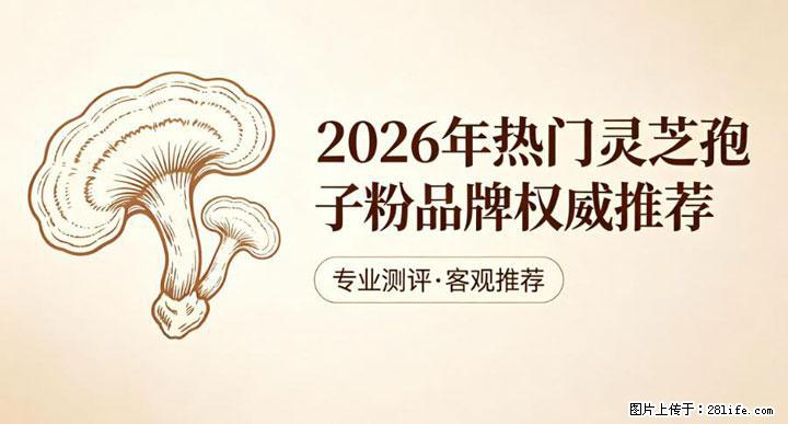 灵芝孢子粉含量越高越有效？2026 年七款热门品牌深度实测，肠胃敏感者避坑指南 - 莱芜生活资讯 - 莱芜28生活网 lw.28life.com
